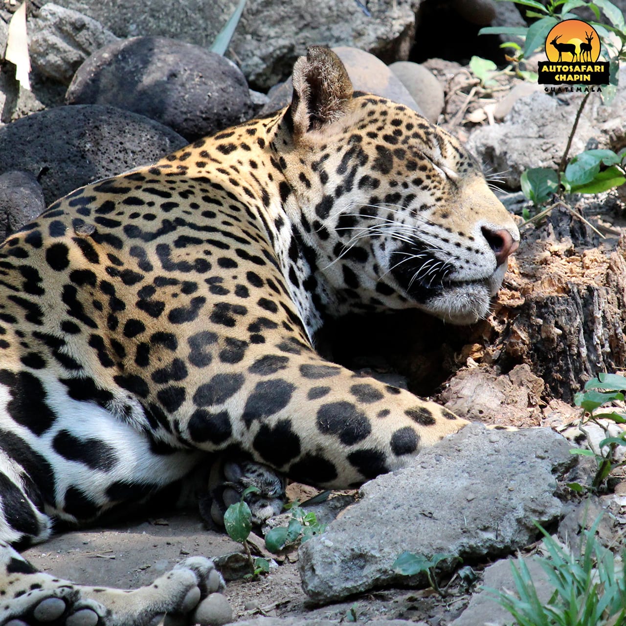 352350968 1280623616206522 873733035298713692 n