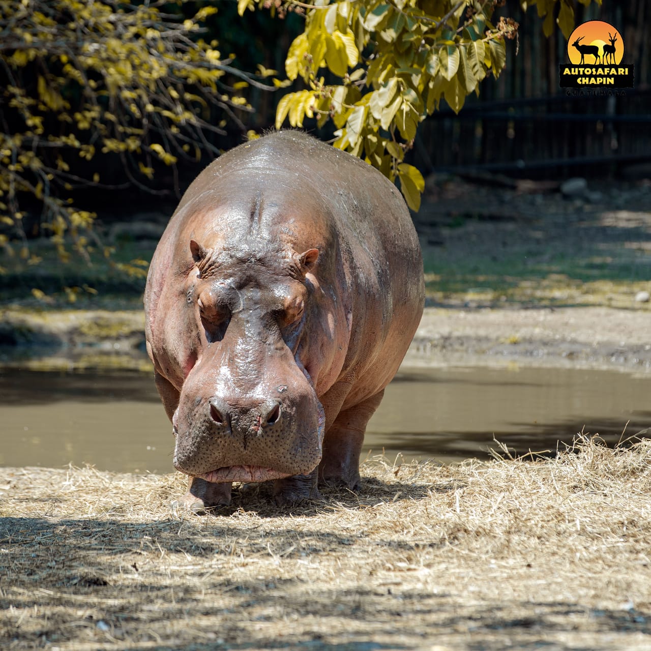 354227865 646331484206466 8664353586310355206 n