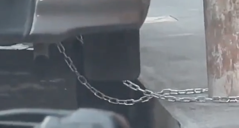 picop atado al poste con cadena