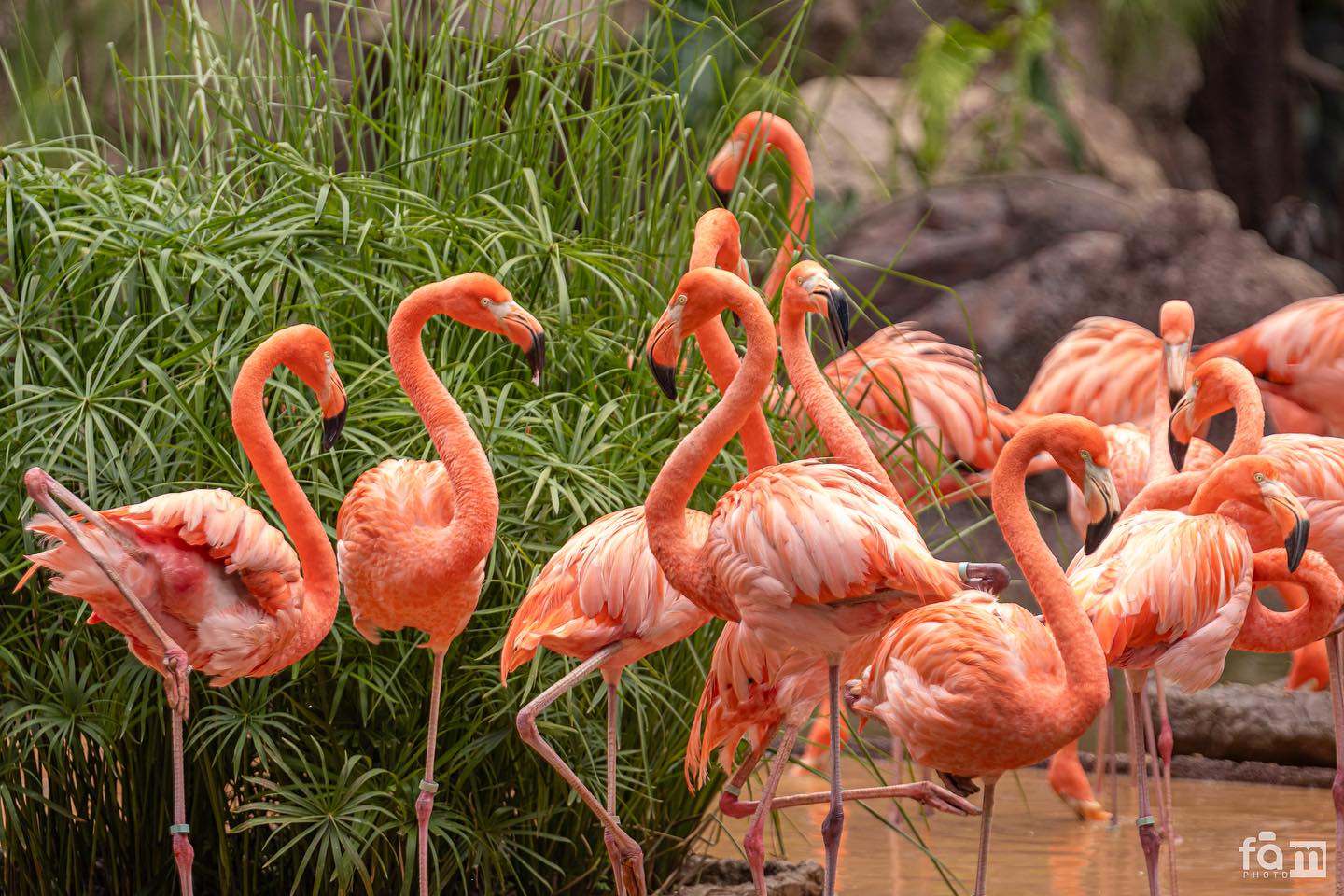 359365012 672181368283865 8632706827148945059 n