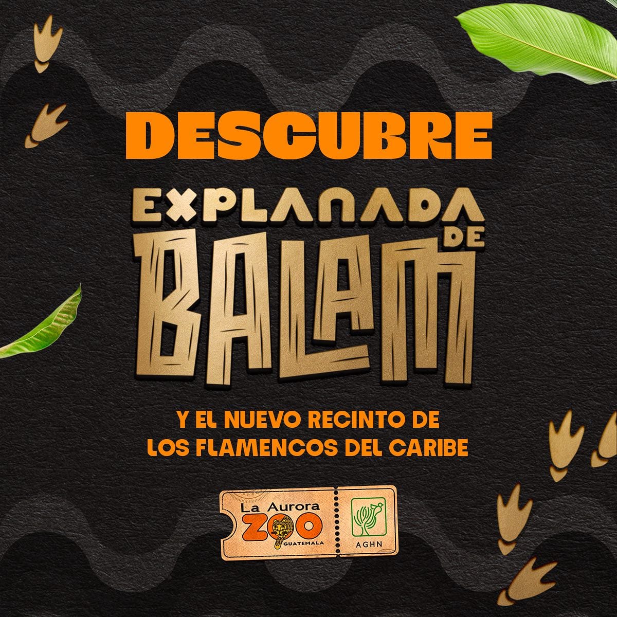 360129866 672747814893887 668357888128174014 n