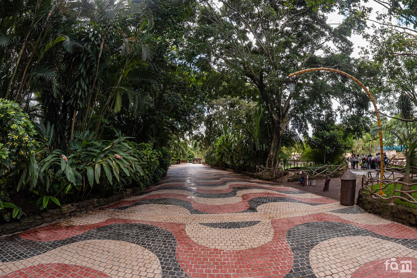 361249588 672181358283866 4421678289881522872 n