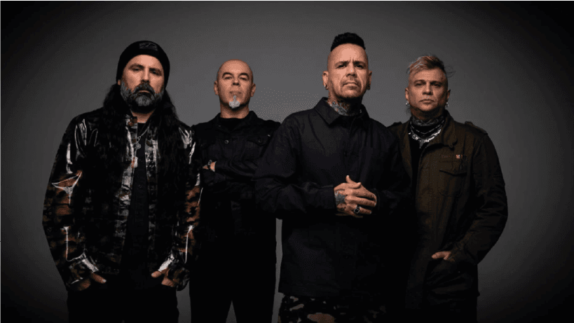 animal banda guatemala