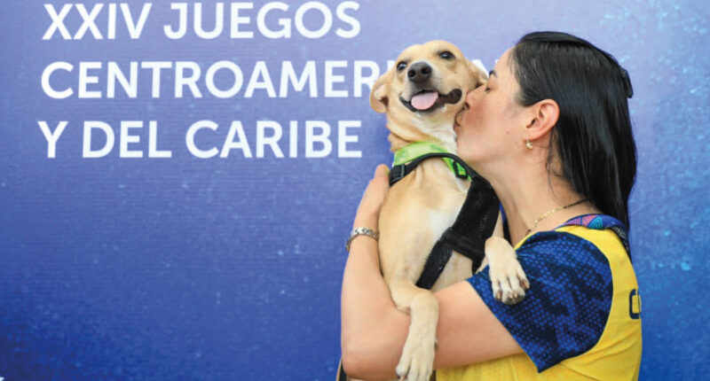 Colombo, un perro de la calle salvadoreño se robó el corazón de la delegación colombiana durante los Juegos Centroamericanos. Ahora vivirá en Colombia.