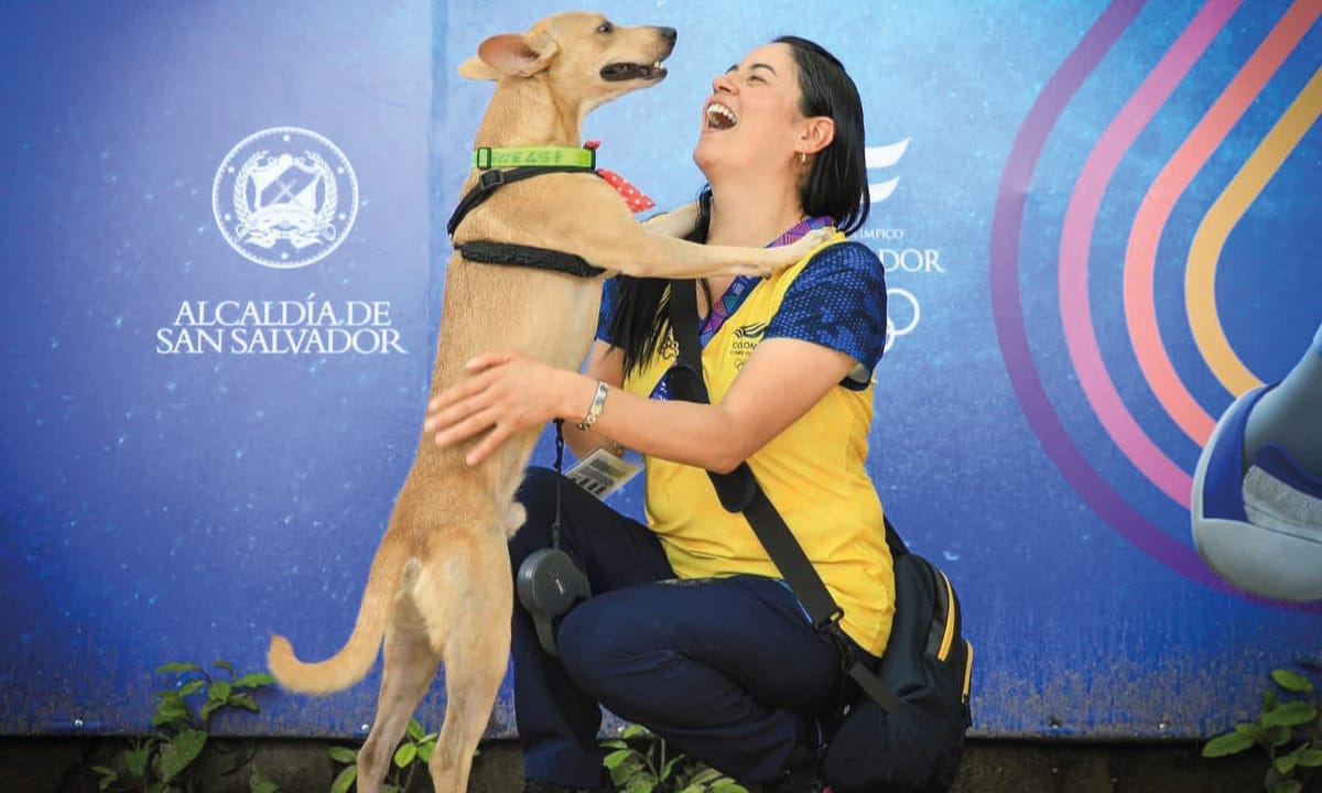el salvador perro viral
