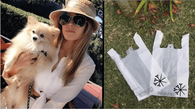 gabriela zea cartel de sinaloa