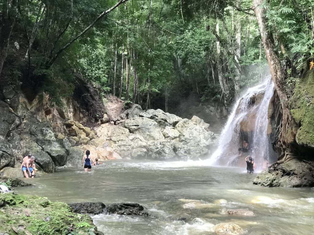Finca Paraiso