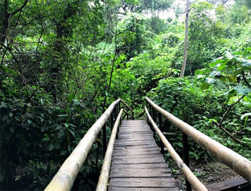 Parque Ecologico y Zoologico La Aurora de Chiquimulilla