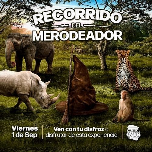 Recorrido del Merodeador