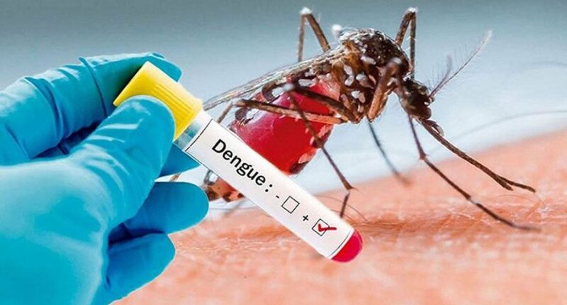 Dengue Guatemala 2