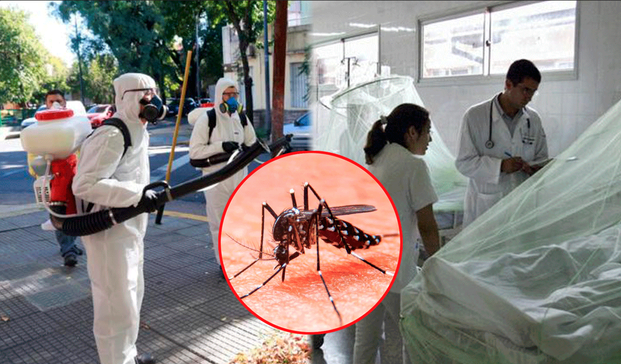 Dengue, sus clasificaciones y que hacer en caso de ser contagiado