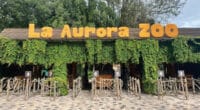 El zoológico La Aurora reúne una enorme cantidad de actividades para los guatemaltecos.