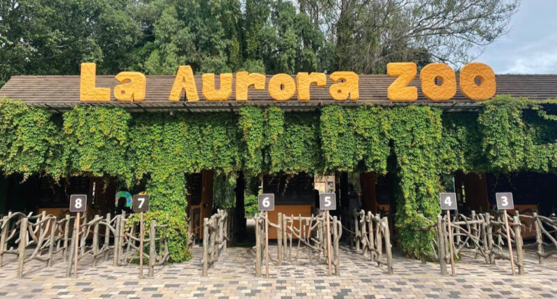 El zoológico La Aurora reúne una enorme cantidad de actividades para los guatemaltecos.