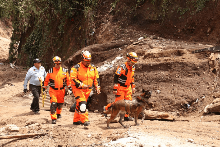 perro roger guatemala