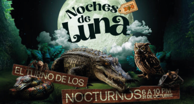 Las noches de Luna vuelven al Zoológico La Aurora en Halloween.