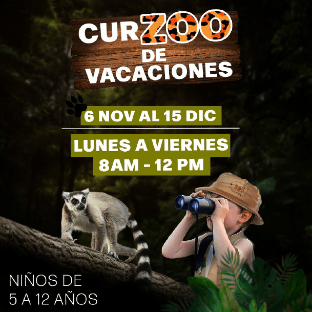 la aurora cursos de verano