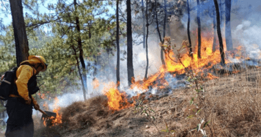 r25IQAEAAAAAAAAAAPBsJkgAAauTjWAAAAAASUVORK5CYII=