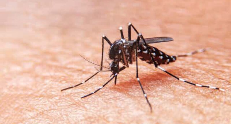 alerta dengue guatemala