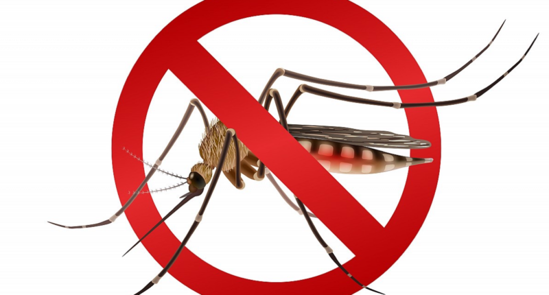 como prevenir dengue