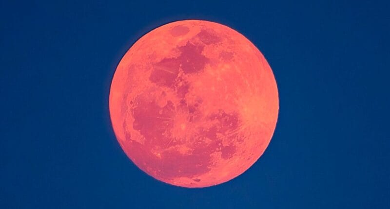 luna flores guatemala