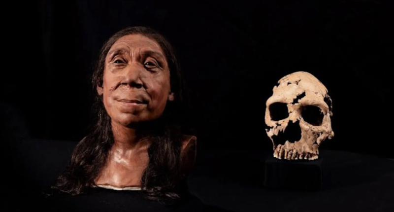 mujer neandertal 2