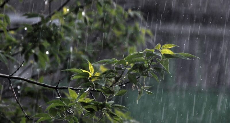 onda del este guatemala