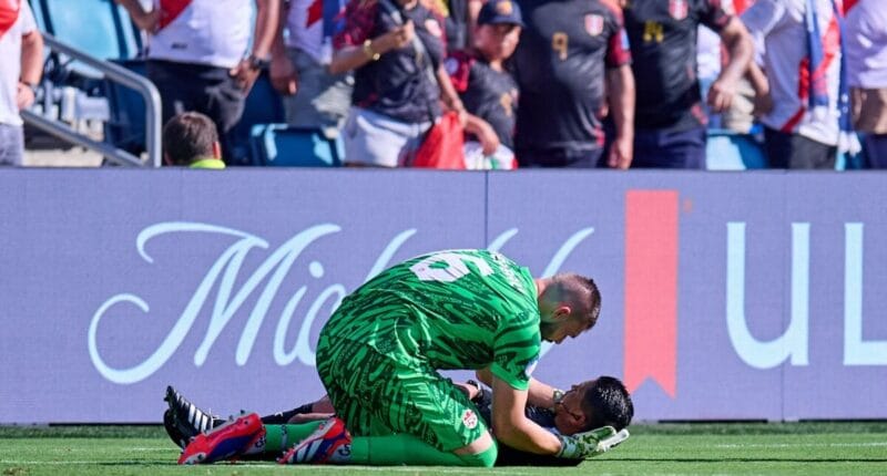 humberto panjoj arbitro