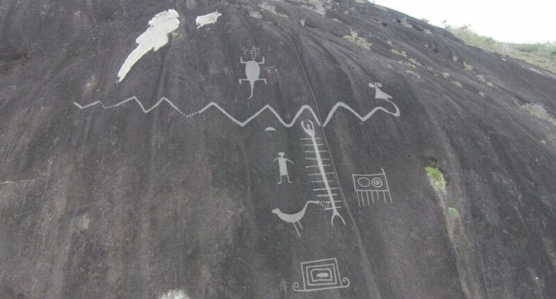 pinturas rupestres orinoco 1