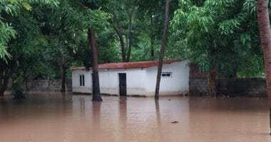 r25IQAEAAAAAAAAAAPBsJkgAAauTjWAAAAAASUVORK5CYII=