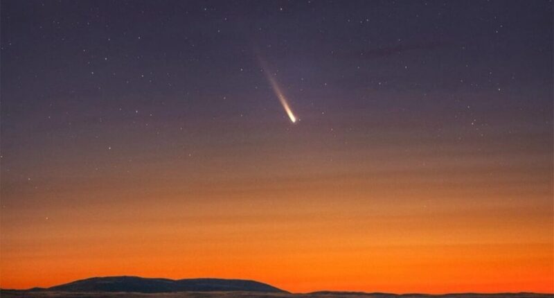 cometa del siglo