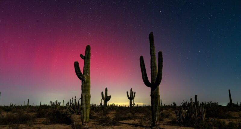 aurora boreal octubre 2024 5