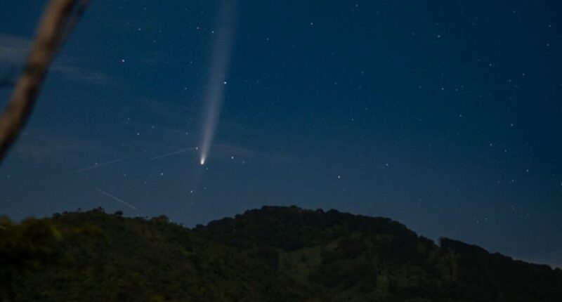 cometa siglo guatemala 5