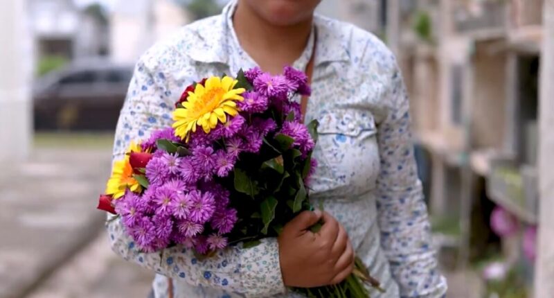 dengue cementerios guatemala