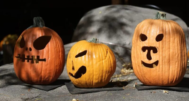 halloween origen noche brujas