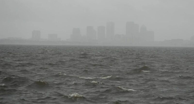 milton toca tierra florida