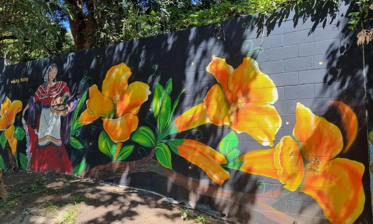 murales lago amatitlan