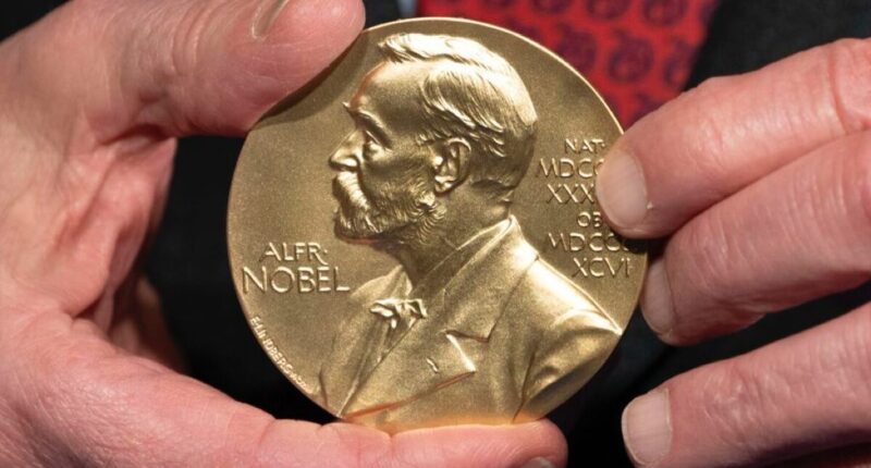 premio nobel de paz 2024