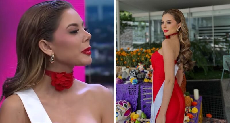 Ana Gabriela Villanueva participó en el programa Venga La Alegría de TV Azteca en México