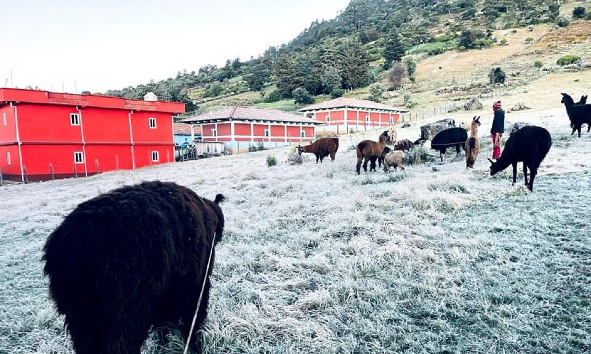 heladas guatemala 2024 2