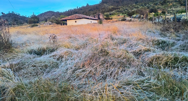 heladas guatemala 2024