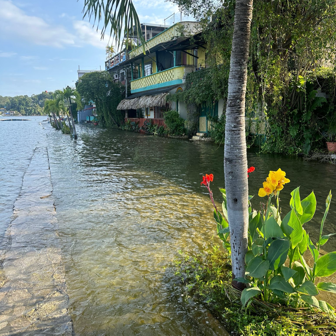 isla de flores inundada 2024 2