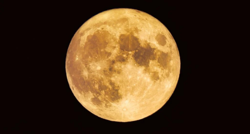 luna castor noviembre 2024