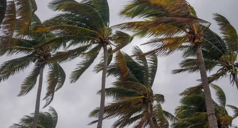 viento guatemala fin de semana