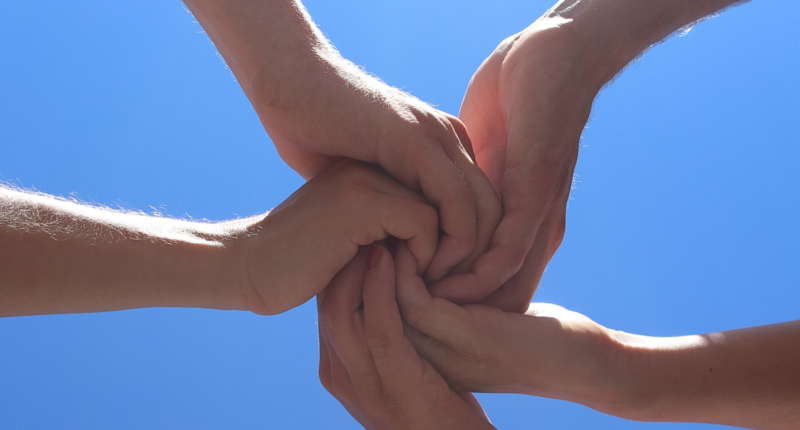 solidaridad humana 2024