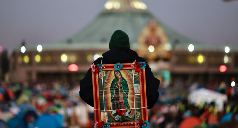 virgen de guadalupe 2024 2