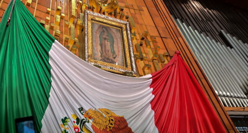 virgen guadalupe 2024