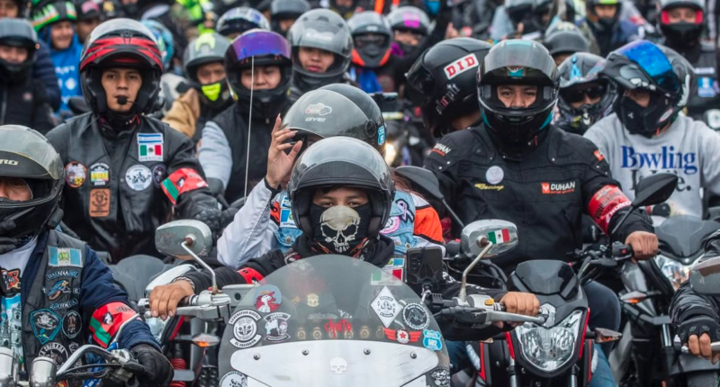 caravana del zorro 2025