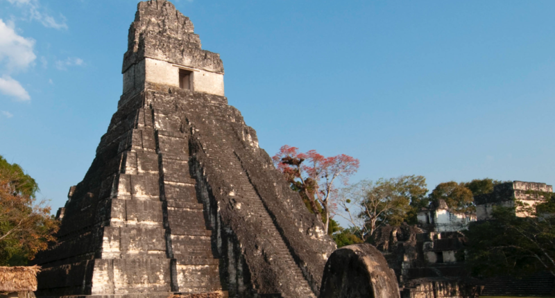 compra boletos tikal 2025 4