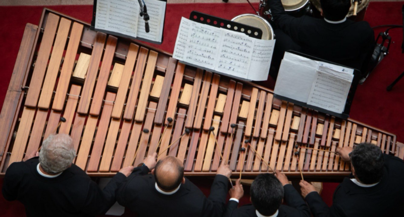 dia nacional marimba 2025