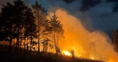 r25IQAEAAAAAAAAAAPBsJkgAAauTjWAAAAAASUVORK5CYII=